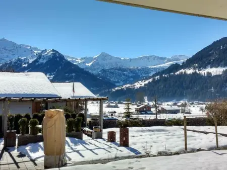 Bärnermutz # 1, Appartement 2 personnes à Lenk - Photo 17