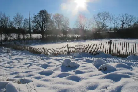 La Petite Merveille, Retraite relaxante près des forêts - Photo 39