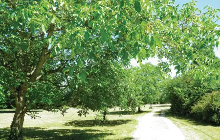 Maison 8 personnes à Bourgueil - Photo 14