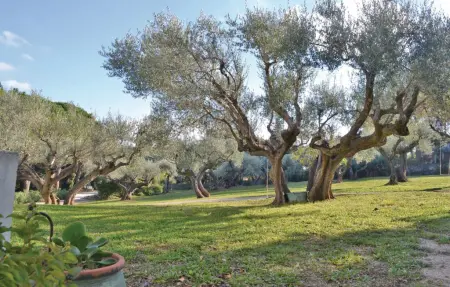 Maison 6 personnes à Toulon - Photo 46