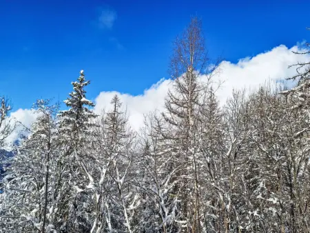 Bellentre Chalet le Pommier 5, Chalet 6 personnes à La Plagne - Photo 47