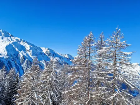 Bellentre Chalet le Pommier 5, Chalet 6 personnes à La Plagne - Photo 52