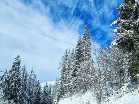 Bellentre Chalet le Pommier 5, Chalet 6 personnes à La Plagne - Photo 56