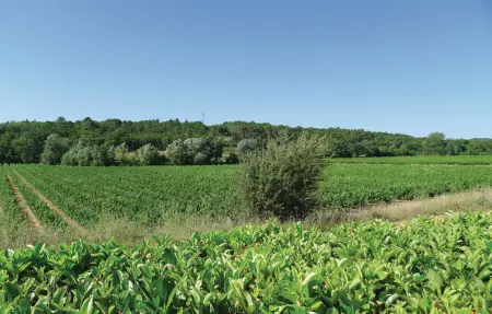 Maison 4 personnes à Fontarèches - Photo 29
