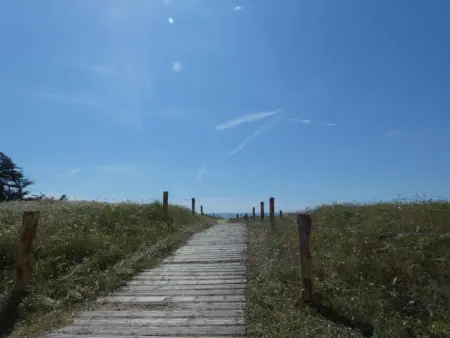 Appartement cosy à Notre-Dame-de-Monts pour 2 personnes - Photo 34