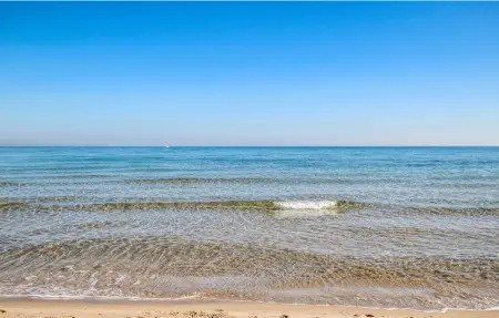 Avenida Costa Blanca, Appartement 4 personnes à Arenales del Sol - Photo 29