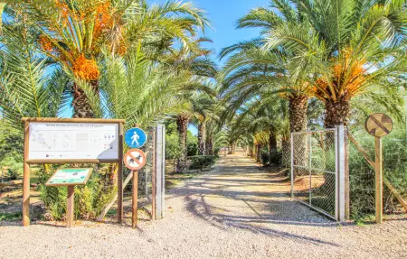 Avenida Costa Blanca, Appartement 4 personnes à Arenales del Sol - Photo 33
