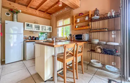 Mazet piscine proche Uzes, Maison 4 personnes à Blauzac - Photo 4