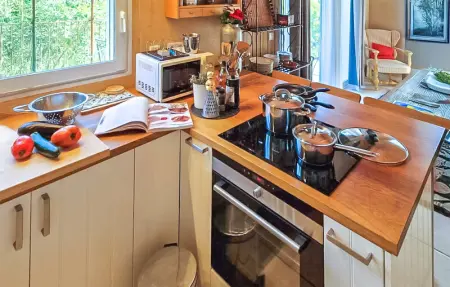 Mazet piscine proche Uzes, Maison 4 personnes à Blauzac - Photo 5