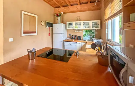 Mazet piscine proche Uzes, Maison 4 personnes à Blauzac - Photo 19