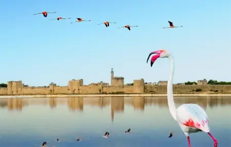 Mazet piscine proche Uzes, Maison 4 personnes à Blauzac - Photo 24