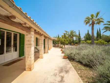 Can Renou, Maison 10 personnes à Alaró - Photo 39