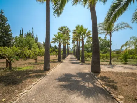 Can Renou, Maison 10 personnes à Alaró - Photo 41