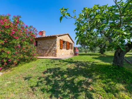 Rustico, Maison 5 personnes à Bibbona - Photo 13