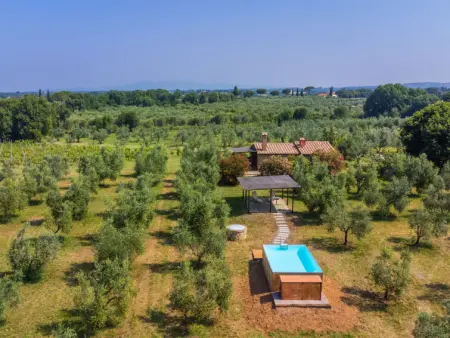 Rustico, Maison 5 personnes à Bibbona - Photo 24