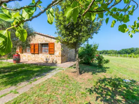 Rustico, Maison 5 personnes à Bibbona - Photo 31