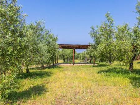 Rustico, Maison 5 personnes à Bibbona - Photo 36