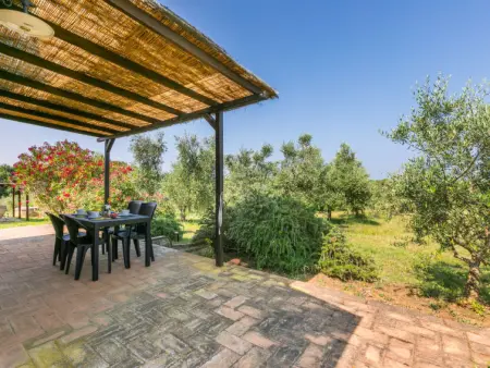 Rustico, Maison 5 personnes à Bibbona - Photo 38