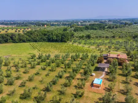 Rustico, Maison 5 personnes à Bibbona - Photo 39