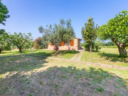 Rustico, Maison 5 personnes à Bibbona - Photo 42