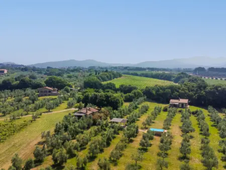 Rustico, Maison 5 personnes à Bibbona - Photo 43