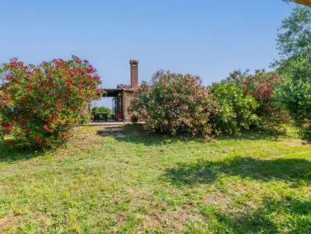 Rustico, Maison 5 personnes à Bibbona - Photo 51