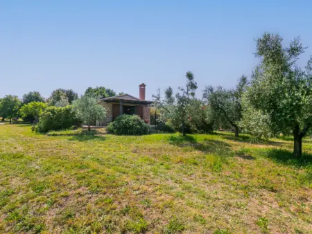 Rustico, Maison 5 personnes à Bibbona - Photo 52