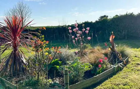 Location Maison 8 personnes à Taulé - Photo 12