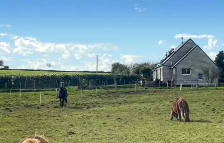Location Maison 8 personnes à Taulé - Photo 13
