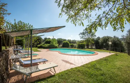 Podere Basilico, Maison 10 personnes à Radicondoli SI - Photo 5