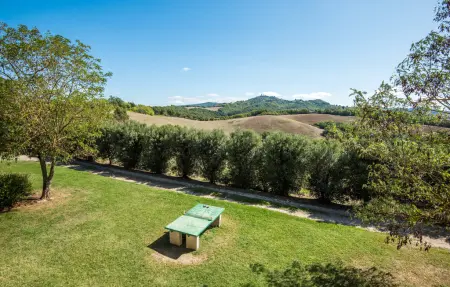 Podere Basilico, Maison 10 personnes à Radicondoli SI - Photo 22
