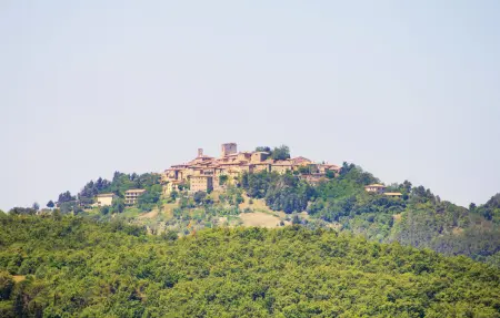 Podere Basilico, Maison 10 personnes à Radicondoli SI - Photo 37