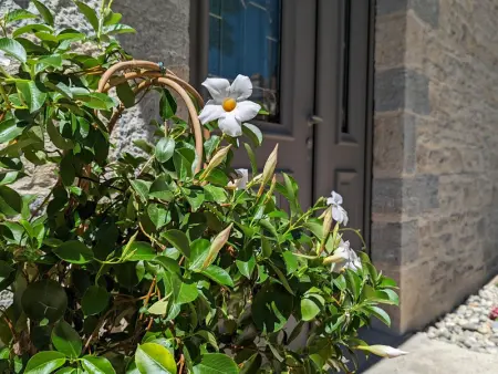 Charmant gîte indépendant avec jardin et activités familiales - Photo 22