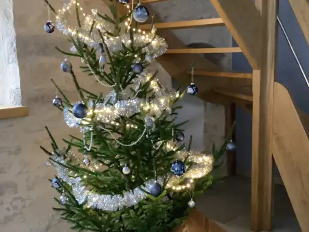 Charmant gîte indépendant avec jardin et activités familiales - Photo 27