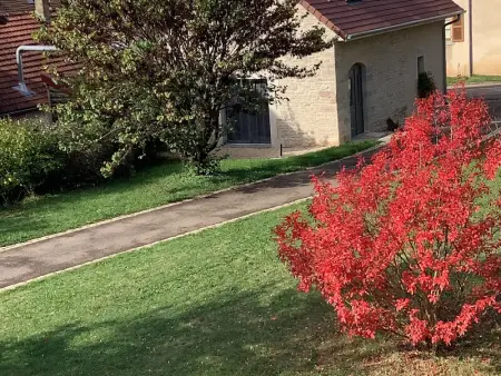 Charmant gîte indépendant avec jardin et activités familiales - Photo 30