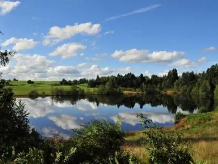 Chalet paisible pour 6 personnes au cœur de la nature - Photo 19