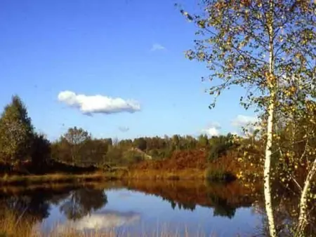 Chalet paisible pour 6 personnes au cœur de la nature - Photo 21