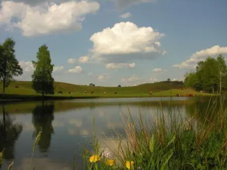 Chalet paisible pour 6 personnes au cœur de la nature - Photo 22
