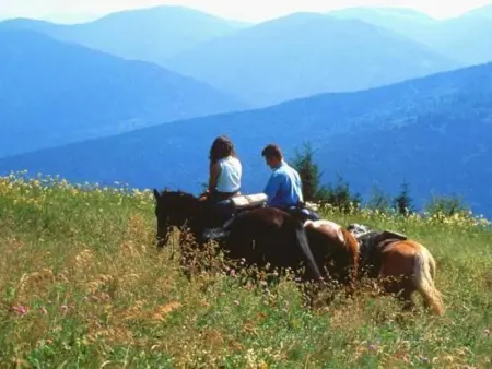 Chalet paisible pour 6 personnes au cœur de la nature - Photo 23