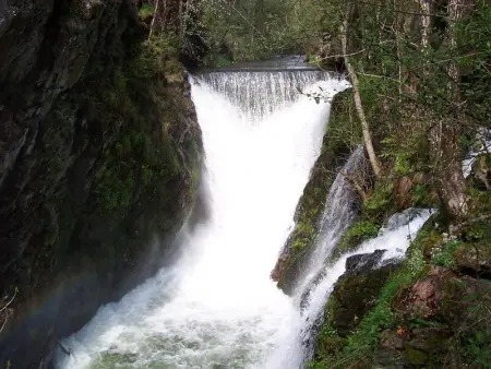 Gîte authentique 5 pers avec cheminée et jardin - Photo 21