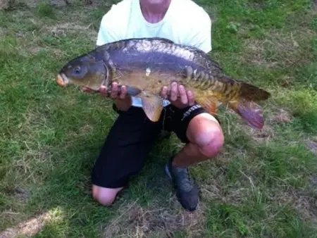 Gîte authentique 5 pers avec cheminée et jardin - Photo 23