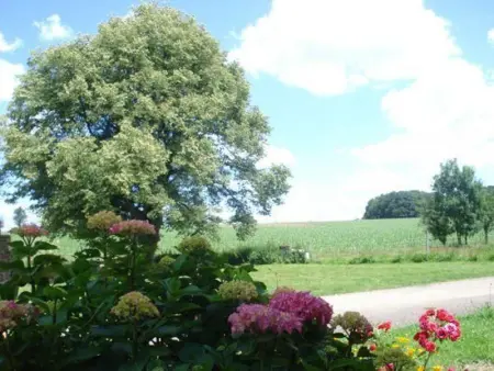 Gîte calme proche Villersexel, nature et activités - Photo 20