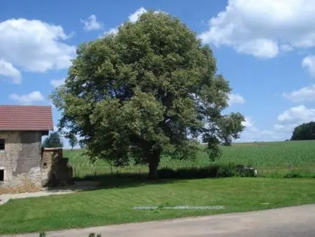 Gîte calme proche Villersexel, nature et activités - Photo 22