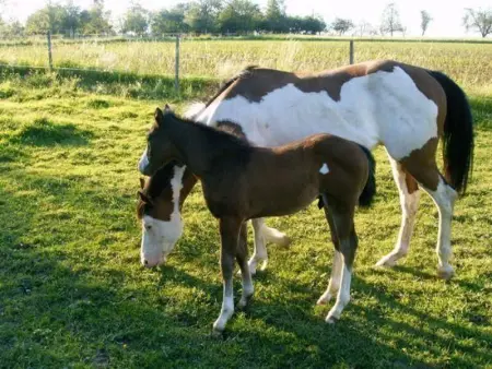 Gîte calme proche Villersexel, nature et activités - Photo 29
