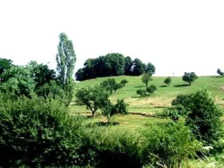 Gîte calme proche Villersexel, nature et activités - Photo 33