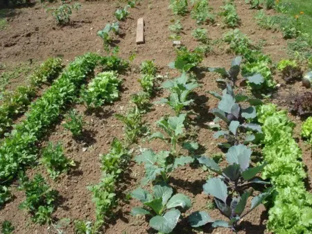 Gîte calme proche Villersexel, nature et activités - Photo 34