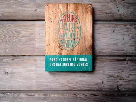 Gîte écologique calme proche Vosges, accueil PMR - Photo 17