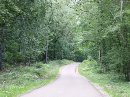 Gîte de charme dans la vallée de l'Ognon avec spa - Photo 34