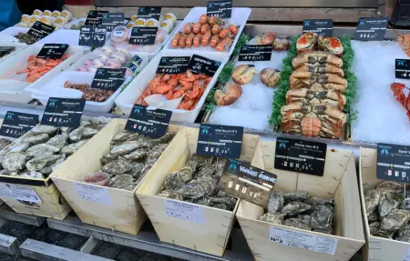 Location Appartement 2 personnes à Trouville sur Mer - Photo 35