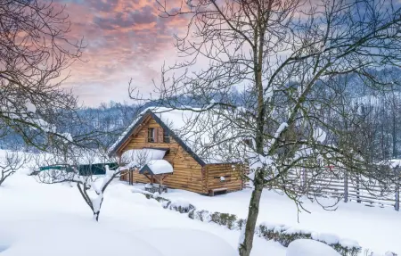 Maison 8 personnes à Gornji Zvecaj - Photo 31
